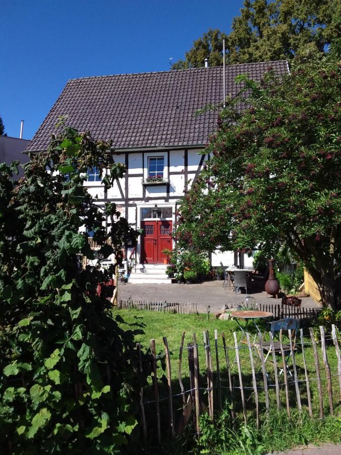 Appartement An Der Bicke Dehringhausen Exterior foto
